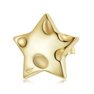 CERCEL din argint Golden Holed Star