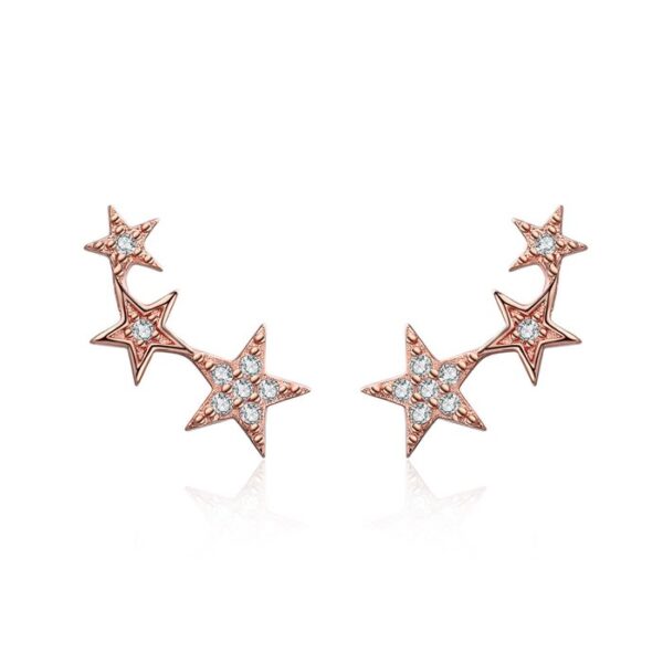 Cercei din argint Rose Gold Stars