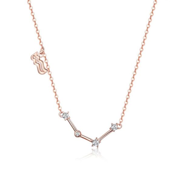 Colier din argint cu Constelatia Varsator rose gold